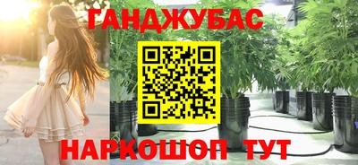 прущий лед Будённовск
