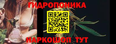 прущий лед Будённовск