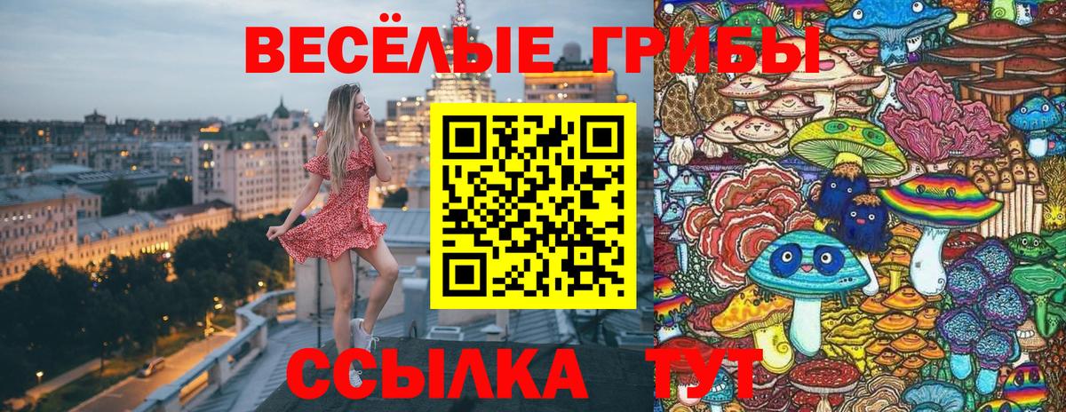 Галлюциногенные грибы GOLDEN TEACHER Рыбинск