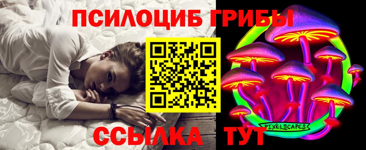 Рыбинск  Псилоцибиновые грибы Psilocybine cubensis  Вход с VPN 